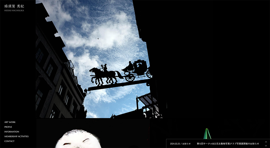 写真家 蜂須賀秀紀